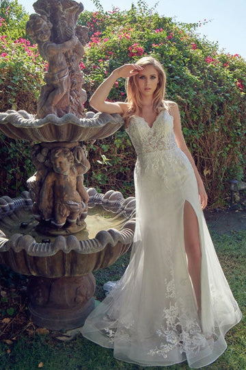 Embroidered Sleeveless Gown by Juliet 249